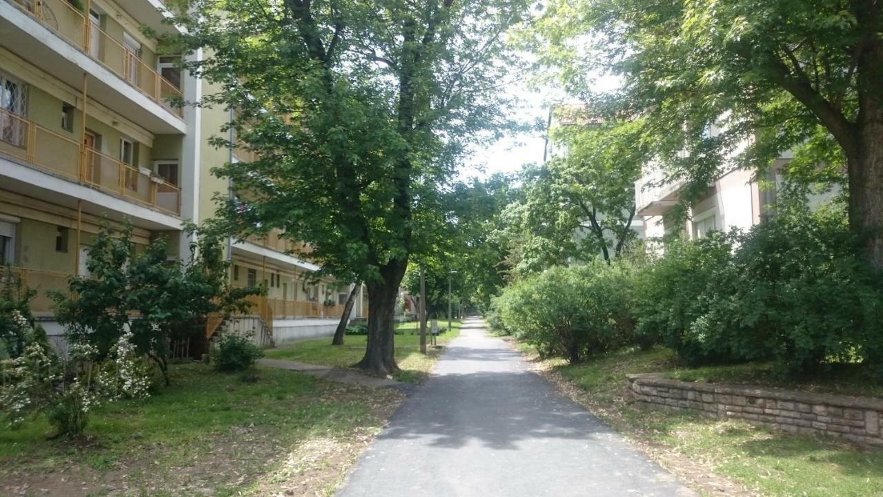 Koroesi Apartman Pécs Exterior foto